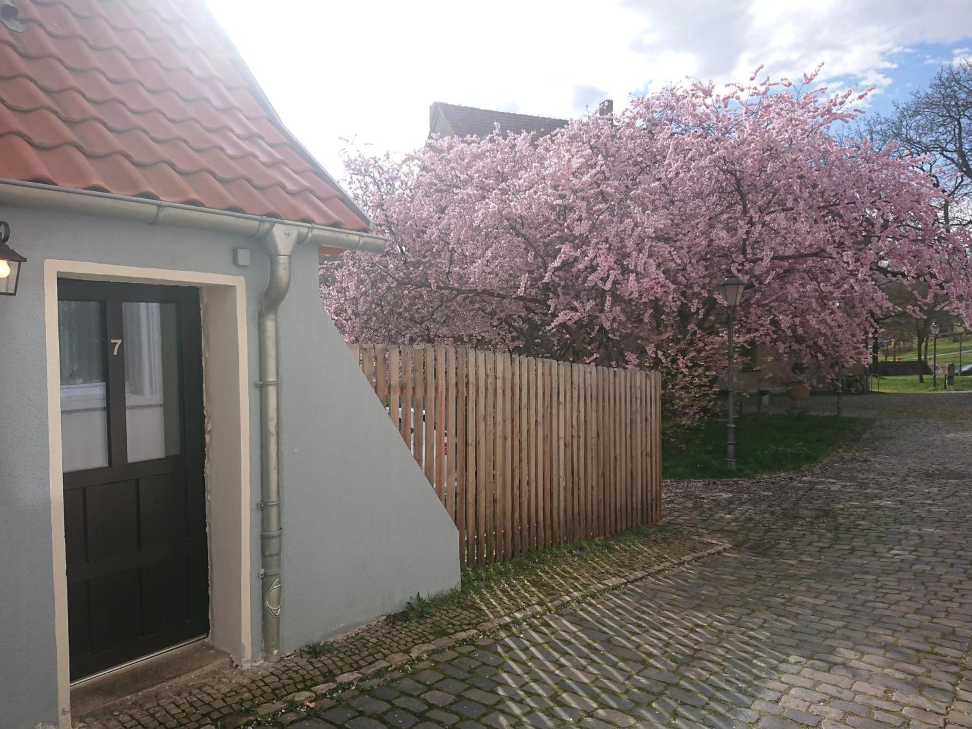 Ferienhaus Aschersleben Exteriér fotografie